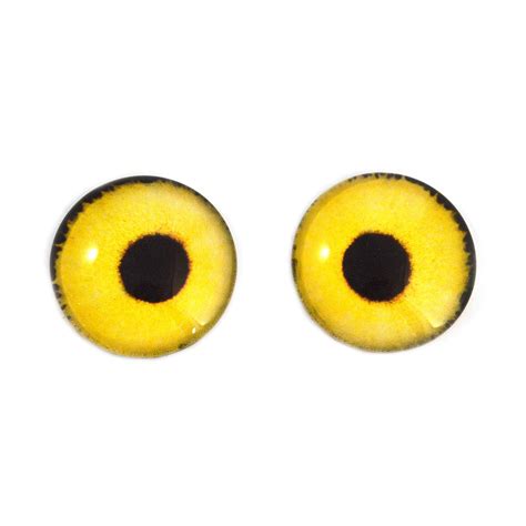 yellow sparrow hawk bird glass eyes handmade glass eyes