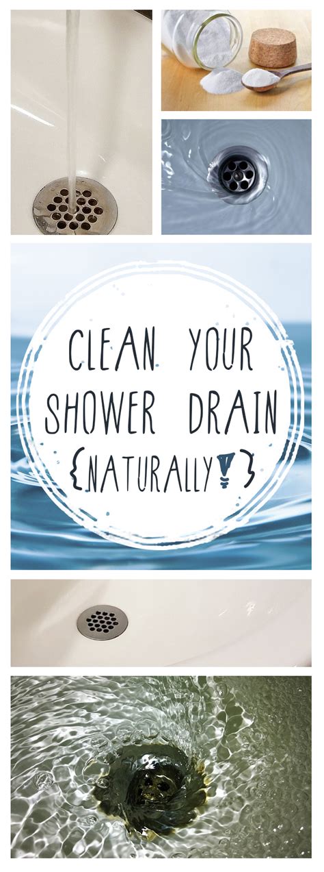 clean  shower drain naturally  organized chick