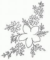 Flower Tracing Pattern Clipart Comments Coloring Library Coloringhome Illustration sketch template