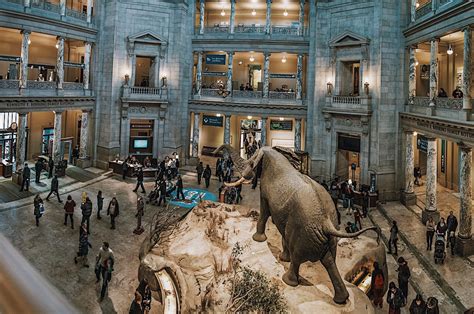 smithsonian national museum  natural history guided  semi private paris private tours