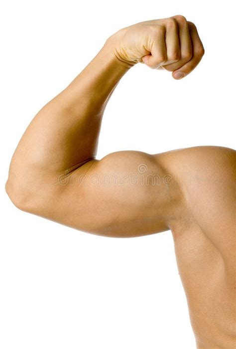 male flexed arm closeup  male flexed arm isolated  white