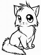 Coloring Cute Pages Animal Kitten Kids sketch template