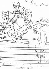 Springreiten Springpferd Equitazione Malvorlage Disegno Pferde Ausmalen Mit Malvorlagen Verschiedene Sportarten Stampare Kategorien sketch template