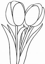 Tulipe Coloriage Coloriages Dessin Tulip Colorier sketch template