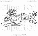 Nudibranch Slug Sea Clipart Chromodoris Illustration Royalty Bannykh Alex Vector 2021 sketch template