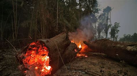 amazon wildfires full scale  rainforest devastation  impossible   world news sky news