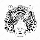 Tijger Kleurplaat Tigre Mandalas Tigres Hoofd Aantrekkelijke Dibujo Animales Stockillustratie Greatestcoloringbook Visitar sketch template
