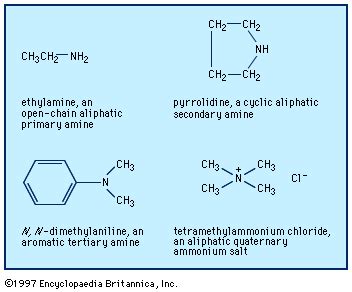 amine organic chemistry structure  britannica