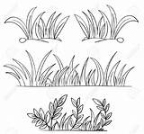 Grass Coloring Outline Pages Vector Clipart Sketch Outlines Illustration Plant Green Drawing Color Eps Drawings Portfolio Format Also Available Pasto sketch template