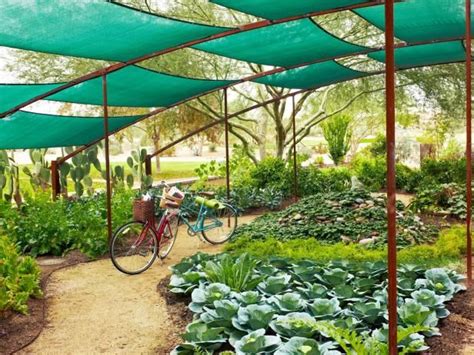 spas  resorts  featuring garden  spa treatments hgtv gardens
