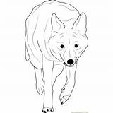 Coyote Coloring Towards Coming Pages Coloringpages101 Kids sketch template
