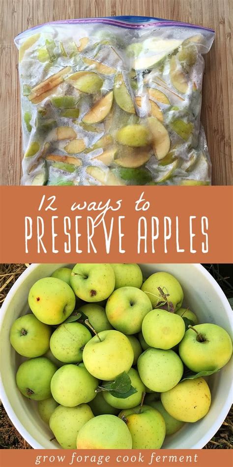 ways  preserve apples