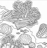 Stingray Coral Zentangle sketch template