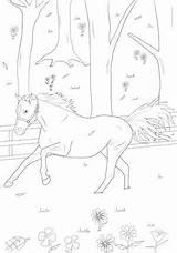 Ausmalbilder Ostwind Und Pferde Horse Für Kinder Paintings Crafts Bibi Tina sketch template