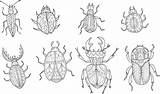Coloring Insect Pages Advanced Kidspressmagazine Bee Beetle Sheets Adults Book Now sketch template
