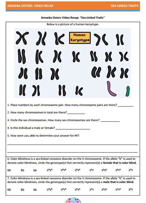 sex linked traits worksheet pdf