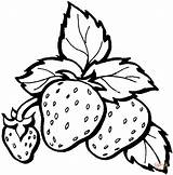 Coloring Pages Strawberry Strawberries Drawing Printable sketch template