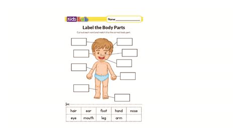 body parts worksheet package starter test cambridge vocabulary