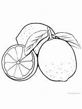 Limes sketch template