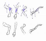Arm Arms Draw Drawing Muscles Down Learn Forms Small Breaking sketch template