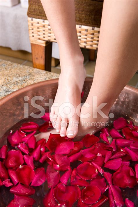 medical spa rose petal foot soak stock photo royalty  freeimages