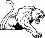 Panther Roaring 1616 sketch template