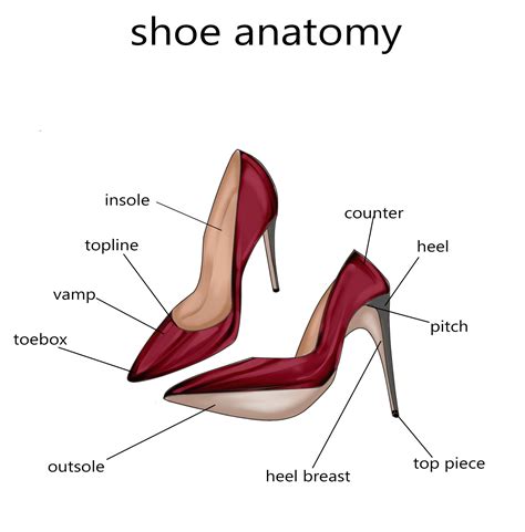 shoe anatomy learn   foot doctor marietta  atlanta