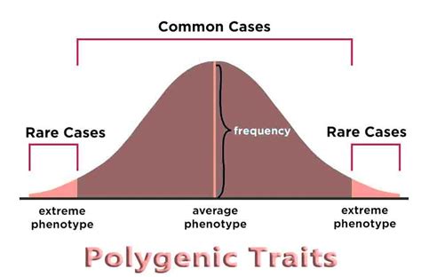 polygenic traits