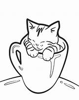 Cat Cute Coloring Drawing Pages Kitten Simple Sleeping Kitty Cats Kittens Easy Realistic Anyone Examples Drawings Very Kpop Cup Try sketch template