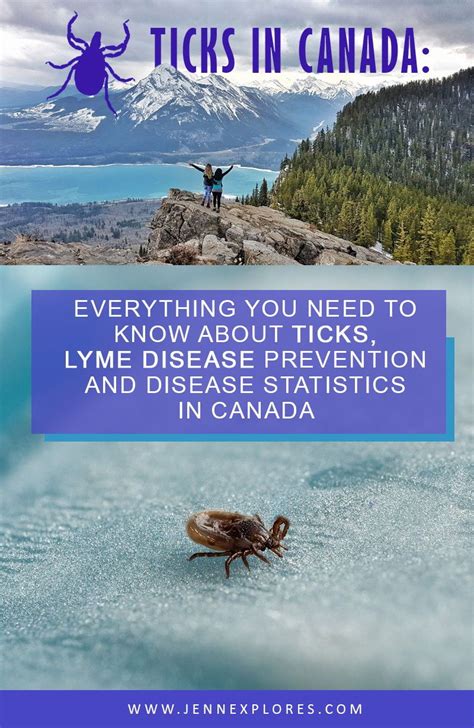 Ticks And Lyme Disease In Alberta And Canada What You Need To Know To