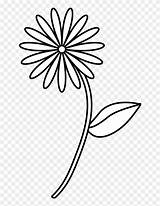 Flower Line Drawing Simple Easy Coloring Clipart Transparent sketch template