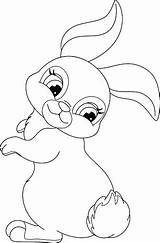 Konijn Colorare Coniglio Koos Rabbit Coniglietti Pascua Stockillustratie Vettoriali sketch template