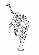 Tattoo Tiger Tribal Drawings sketch template
