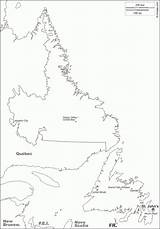 Newfoundland Printable Outline Labrador sketch template