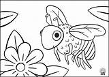 Animals Coloring Pages Kids Freebies Coloringpages Pdf Bee1 sketch template