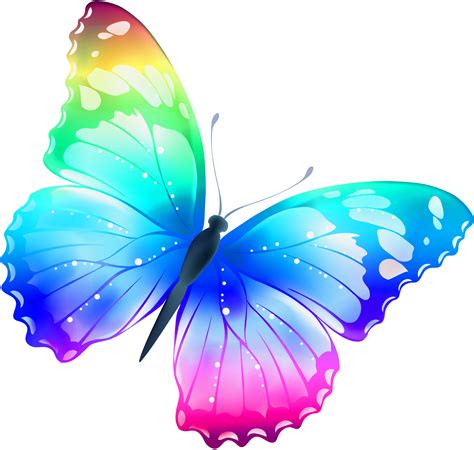 large transparent multi color butterfly png clipart clipart  clipart