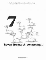 Christmas Days Swans Printables Coloring Worksheets Swimming Twelve Games Seven sketch template