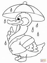 Coloring Duck Umbrella Rain Ducks Under Pages Printable Outline Holding Boy Supercoloring Para Clipart Categories Popular Books Library Drawing Escolha sketch template