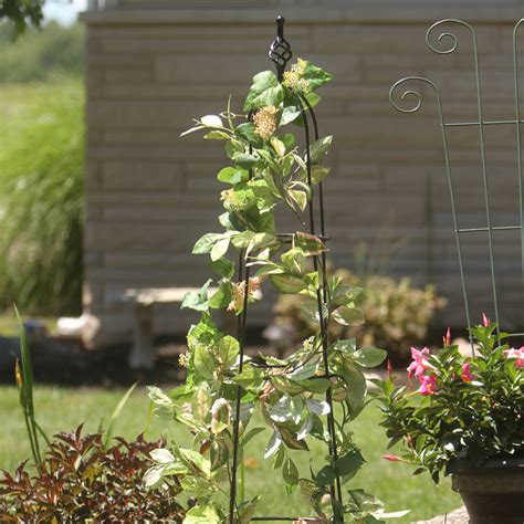 obelisk lawn garden retailer