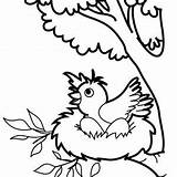 Tree Bird Drawing Birds Clipartmag Coloring Pages sketch template