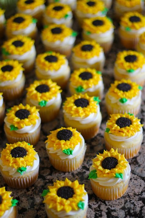 sweets  style   sunflower cupcakes