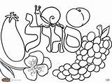 Coloring Pages Shabbos Fruit Salad Challah Torah Color Hebrew Printable Getcolorings Tots sketch template