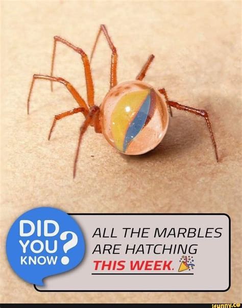 marbles  ha tching  week  ifunny popular memes ifunny youtube memes