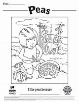 Coloring Peas Printable Kids Children Food Sheets Hero Pages Choose Board Colouring Childrens Sheet sketch template