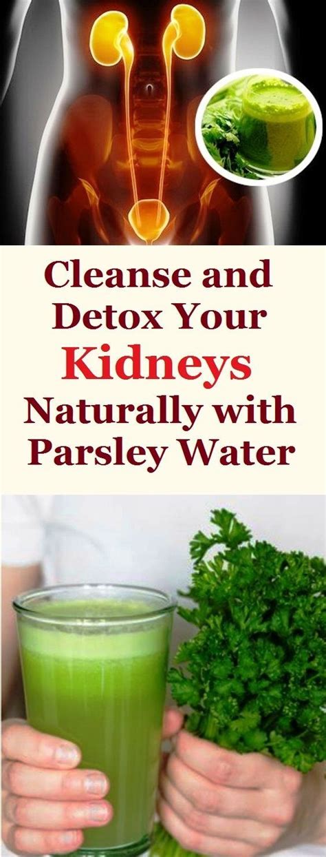 cleanse  detox  kidneys naturally  parsley water kidney