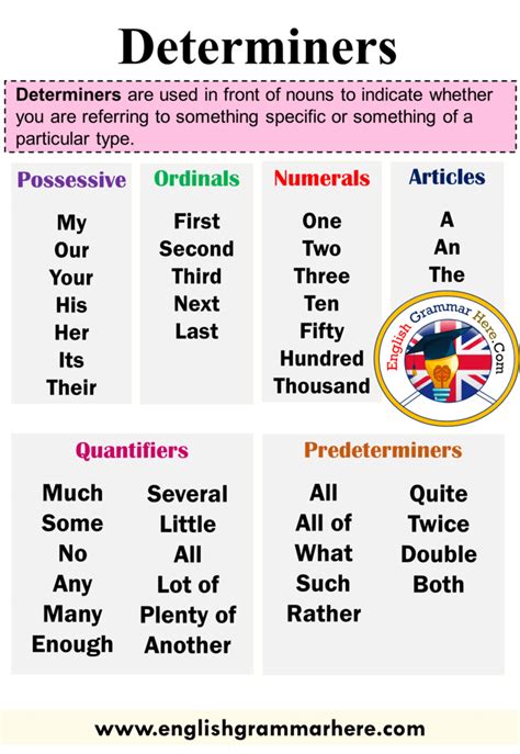examples  determiners  english english grammar