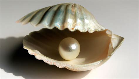 perlas naturales  cultivadas  sinteticas naithelo