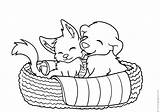 Psy Koirat Hunde Perros Kolorowanki Animais Malvorlagen Colorear sketch template