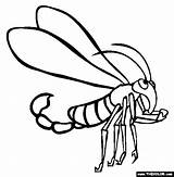 Scorpionfly Scorpion Insect Clipartmag Thecolor sketch template