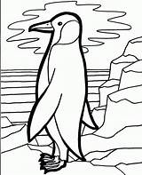 Coloring Penguin Template Pages Printable Tacky Print Templates Kids Dot Popular sketch template